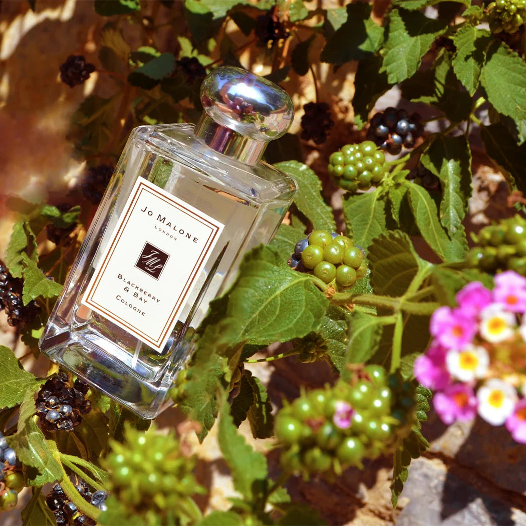 Blackberry & Bay S.Edition
EDP 100ml