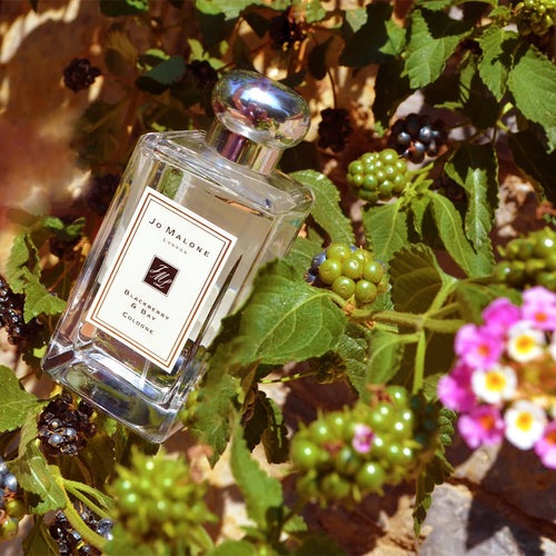 Blackberry & Bay S.Edition
EDP 100ml