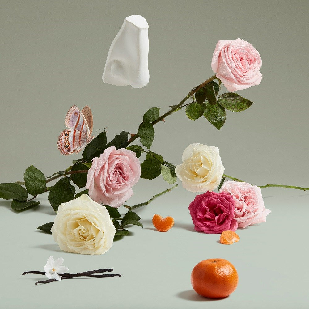 The Coveted Duchess Rose
EDP 75ml
