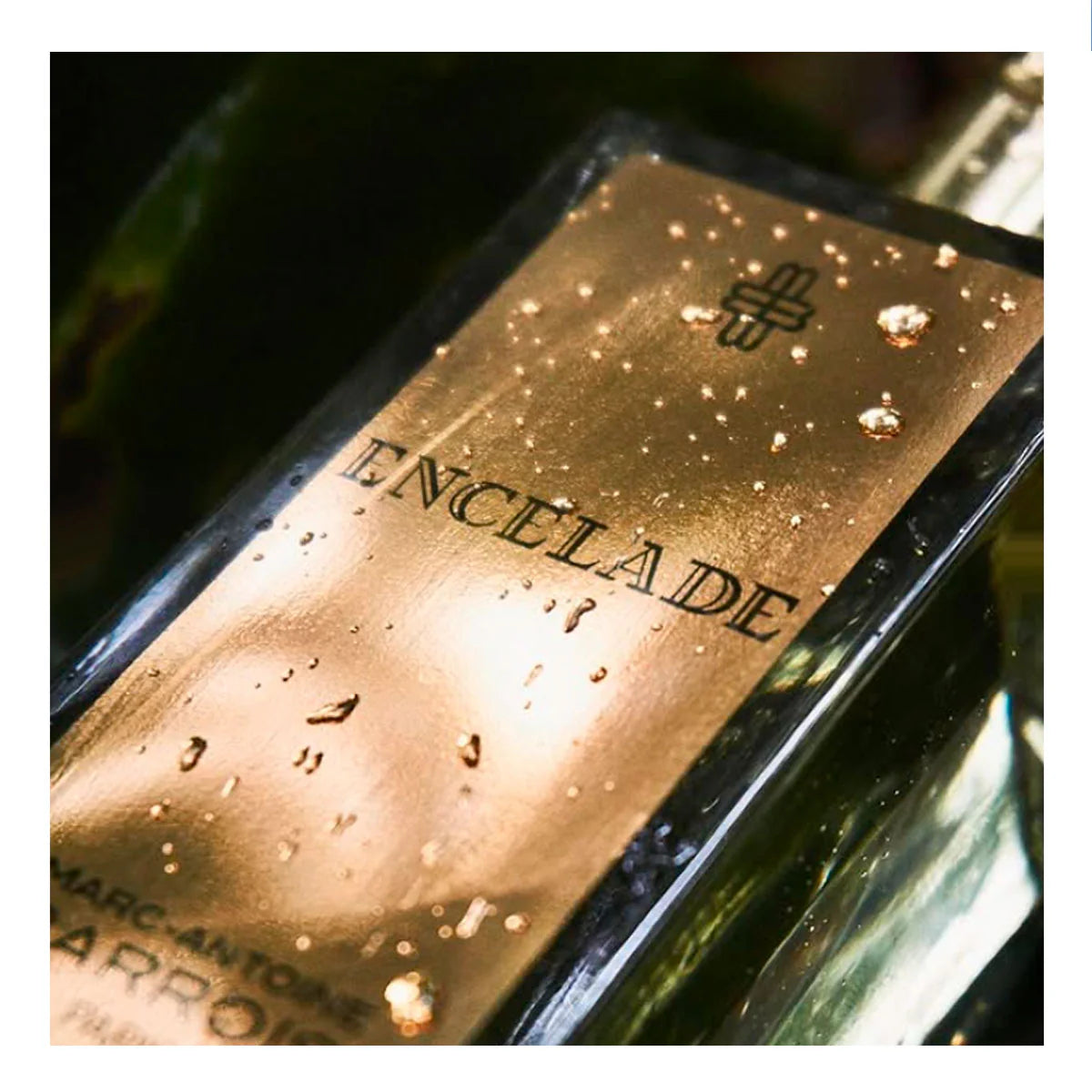 -Antoine Barrois
Enclade
EDP 100ml