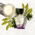 Fleurs De Gardenia
EDP 75ml