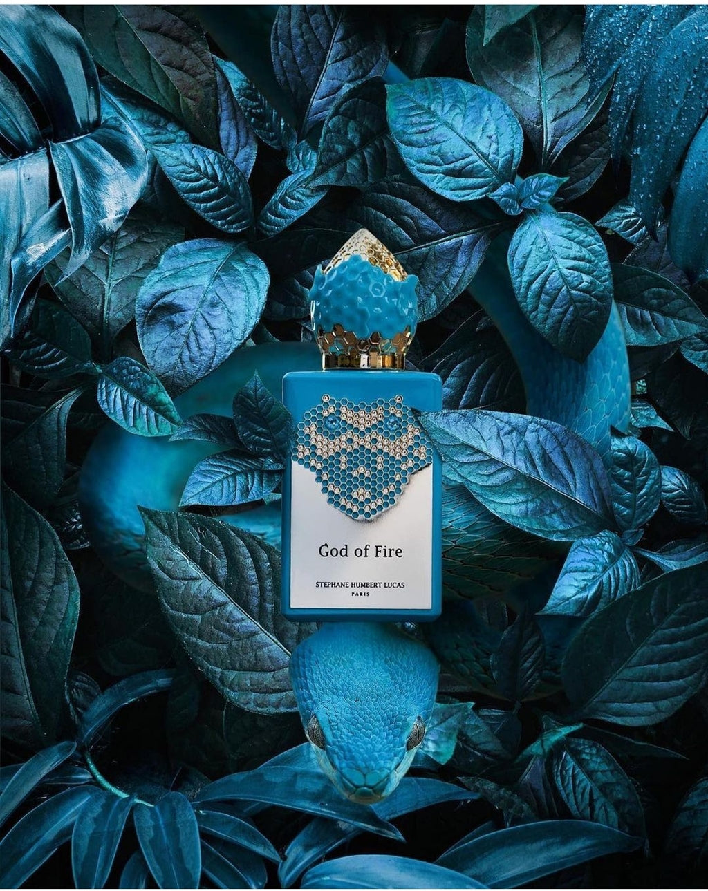 God Of Fire
EDP 50ml