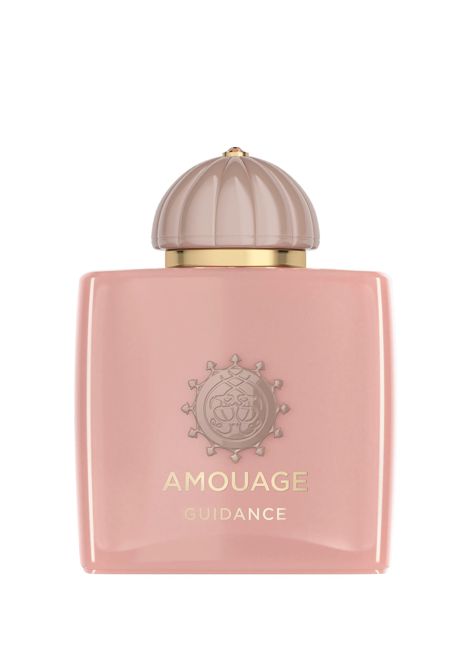 Guidance
EDP 100ml