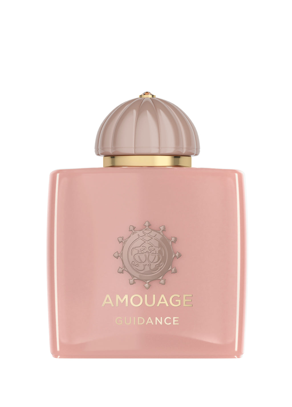 Guidance
EDP 100ml