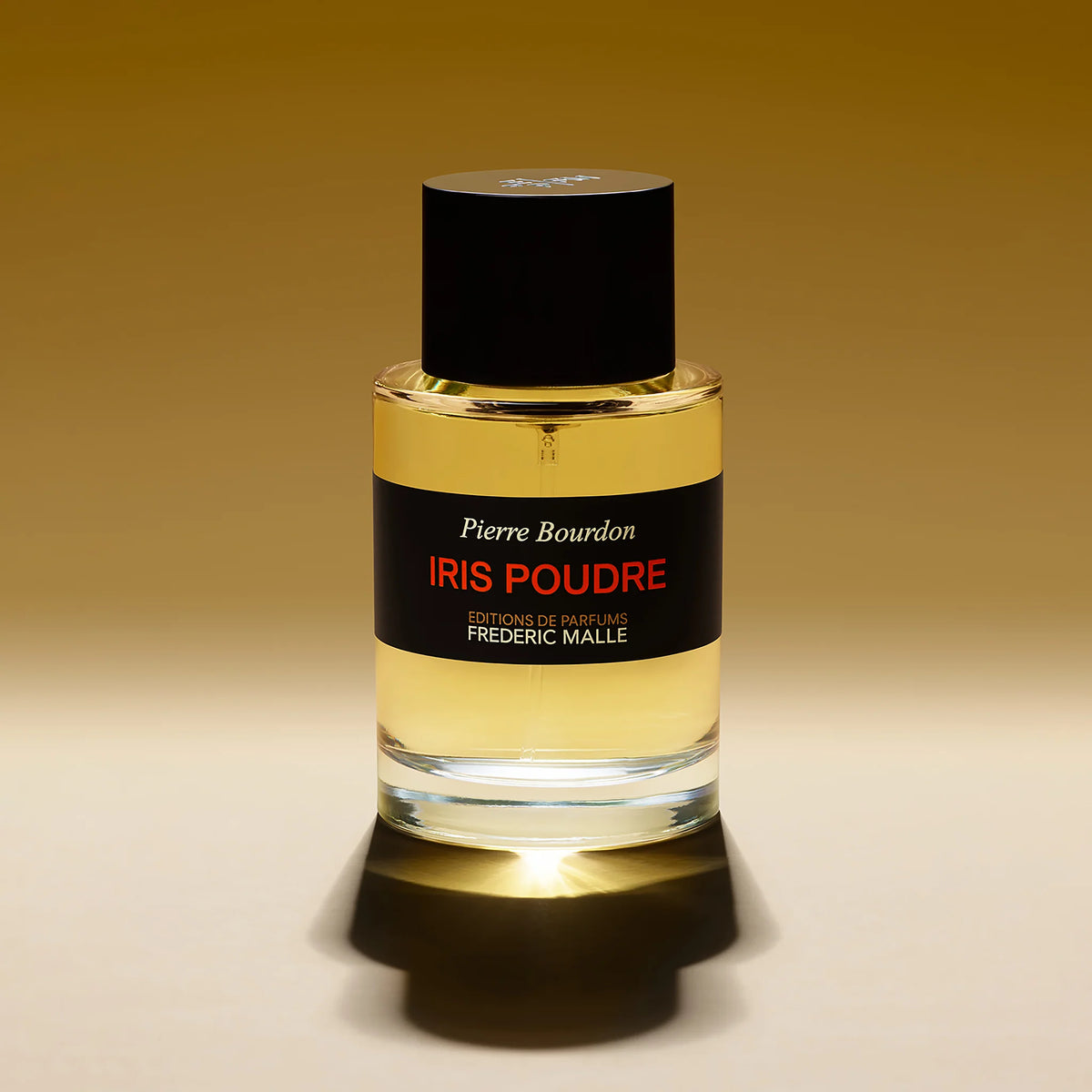 IRIS POUDRE
EDP 100ml