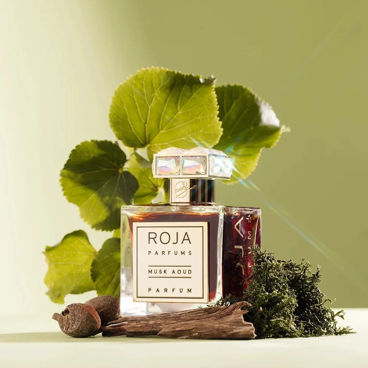 Musk Aoud
EDP 50ml