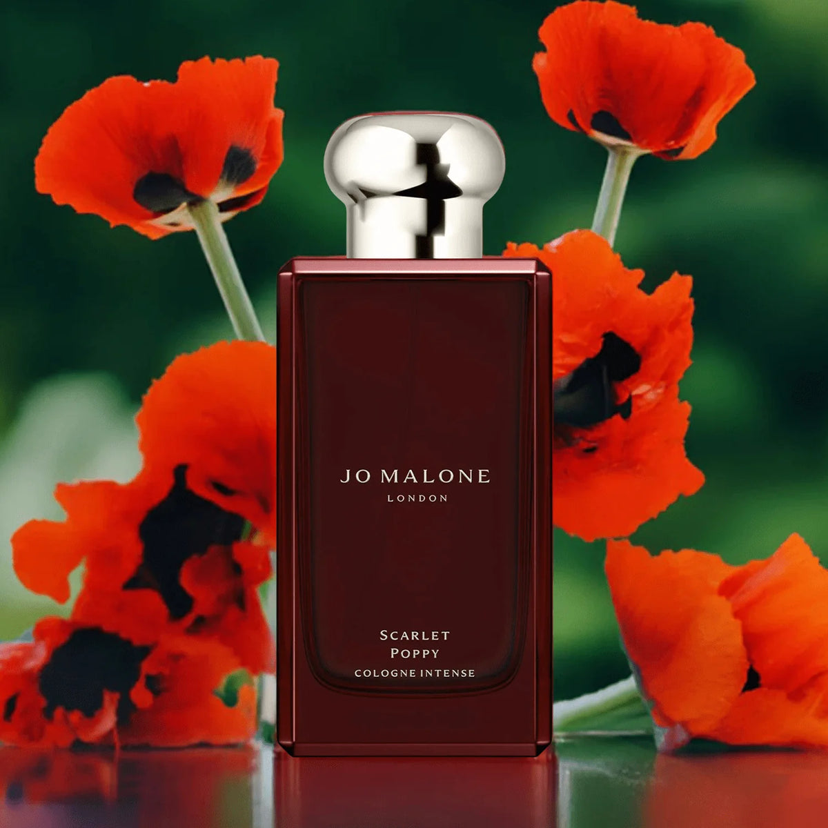 Scarlet Poppy Cologne Intense