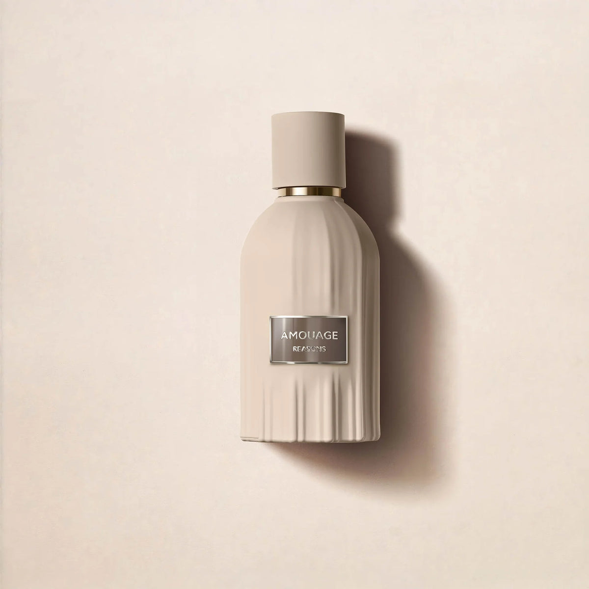 Reasons
EDP 100ml