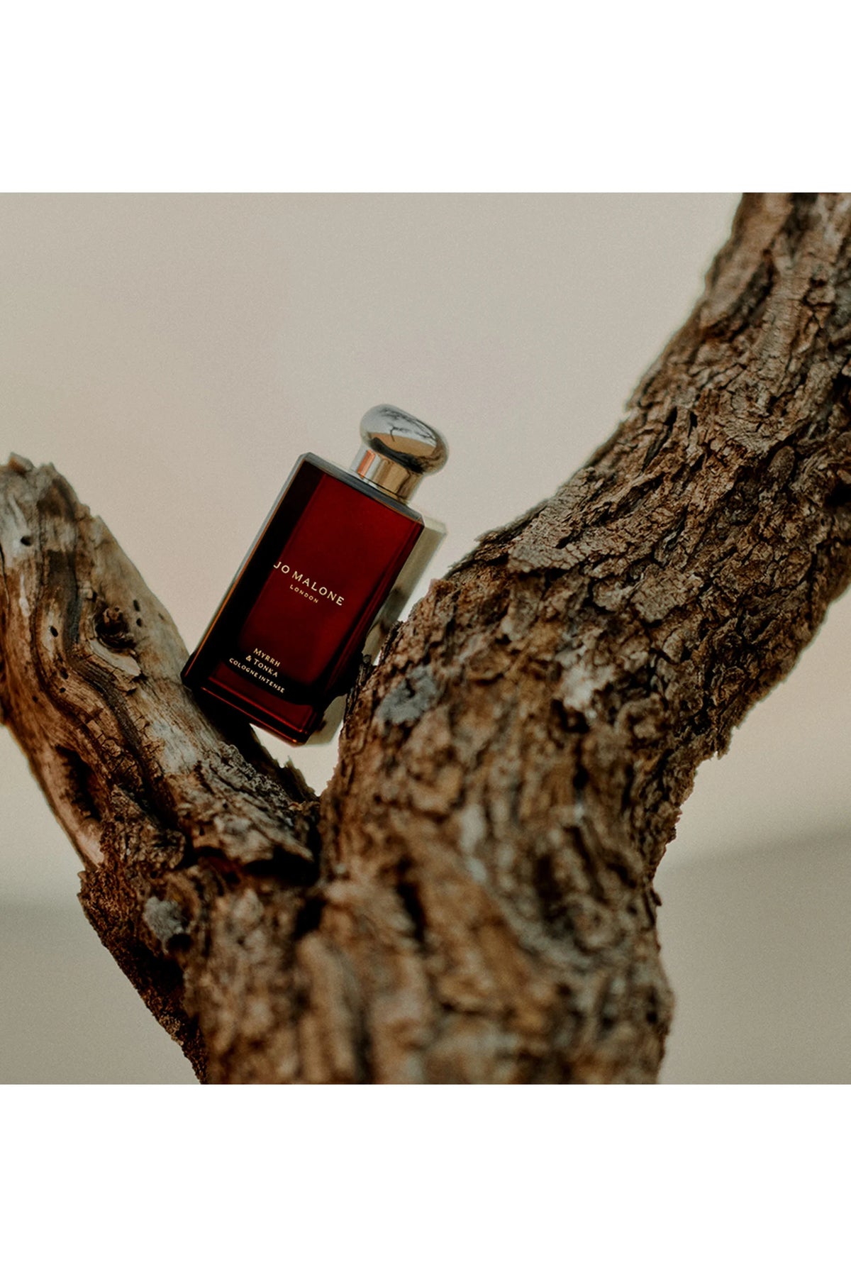 Myrrh & Tonka Cologne Intense