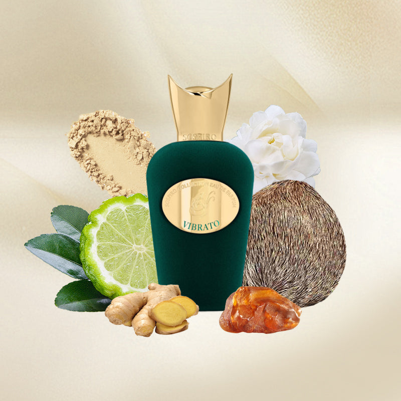Vibrato
EDP 100ml