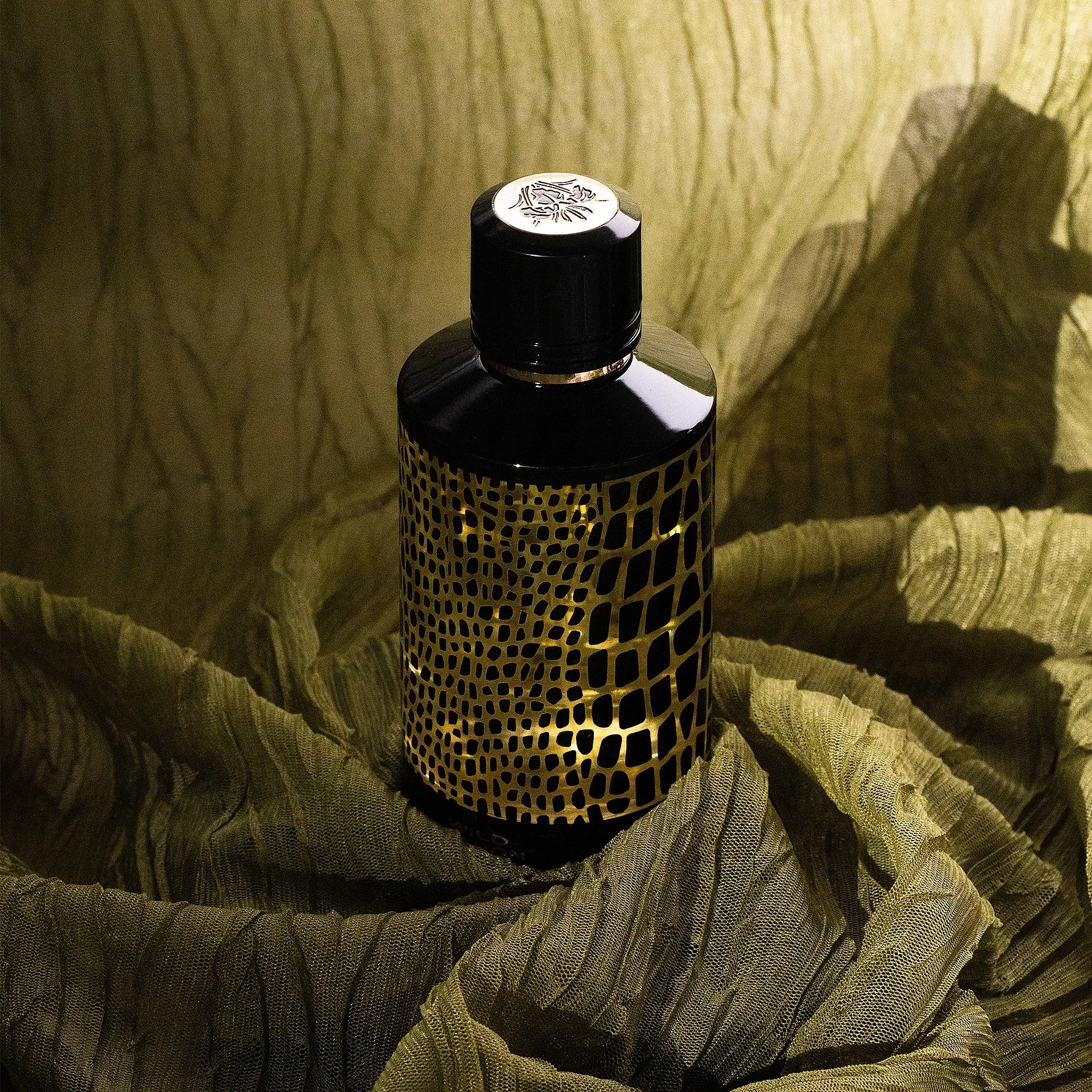 Wild Python
EDP 120ml